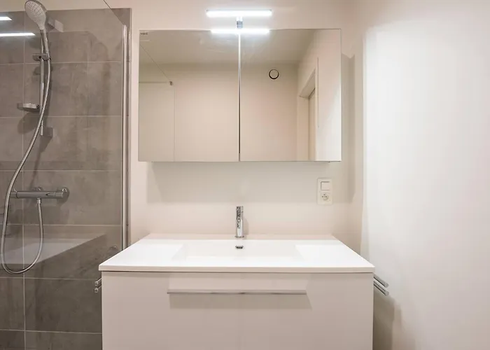 Situated Brand New For 5 Ostende